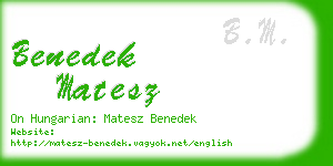 benedek matesz business card